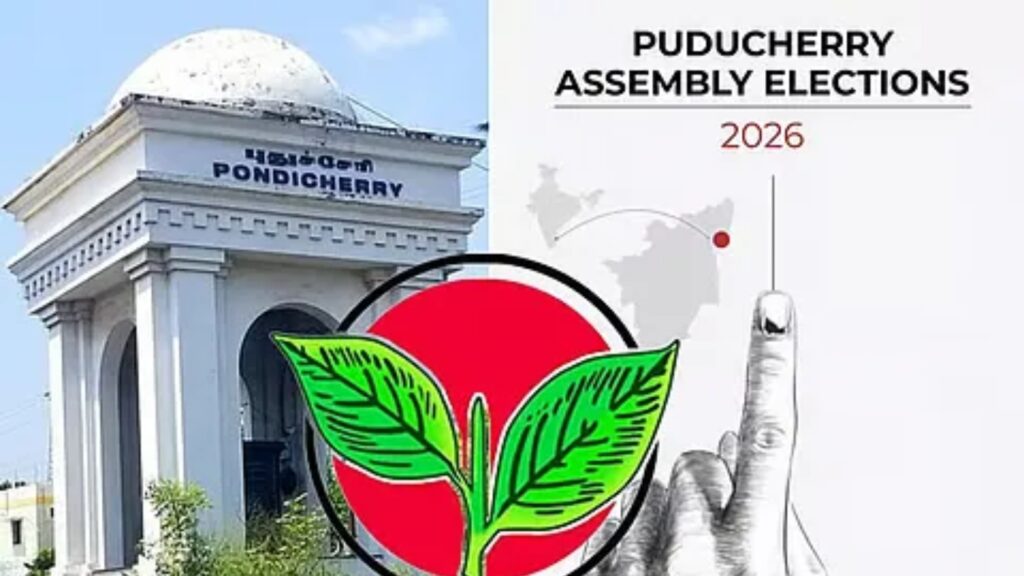 BeFunky collage (12)