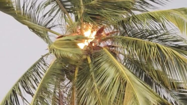 BeFunky collage 2026 04 22T142643.809