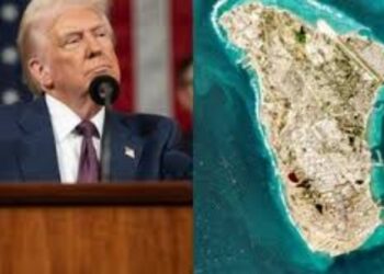 BeFunky collage (21)