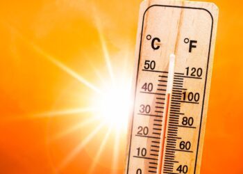 BeFunky collage (39)