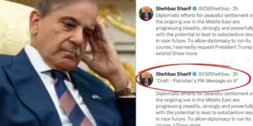 BeFunky collage (42)