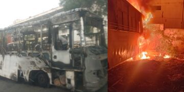 BeFunky collage (43)