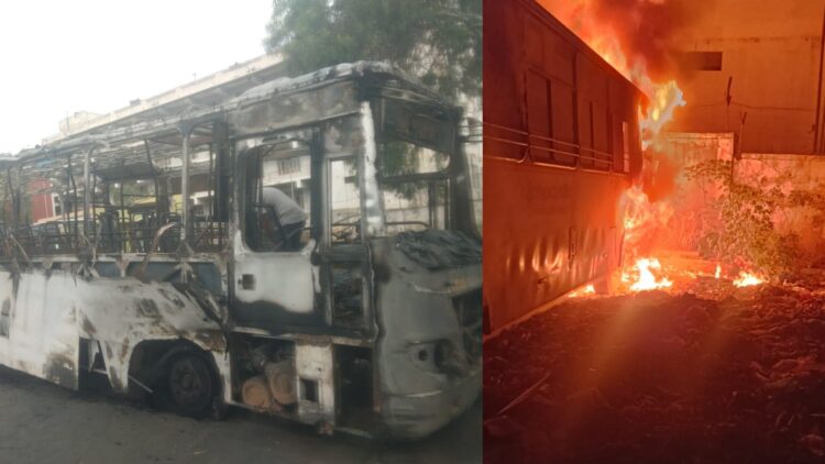 BeFunky collage (43)