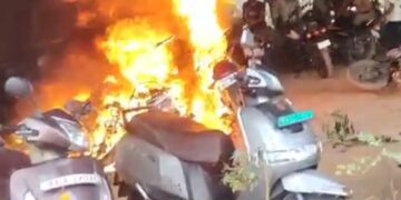 BeFunky collage (49)