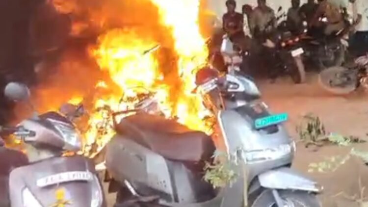 BeFunky collage (49)