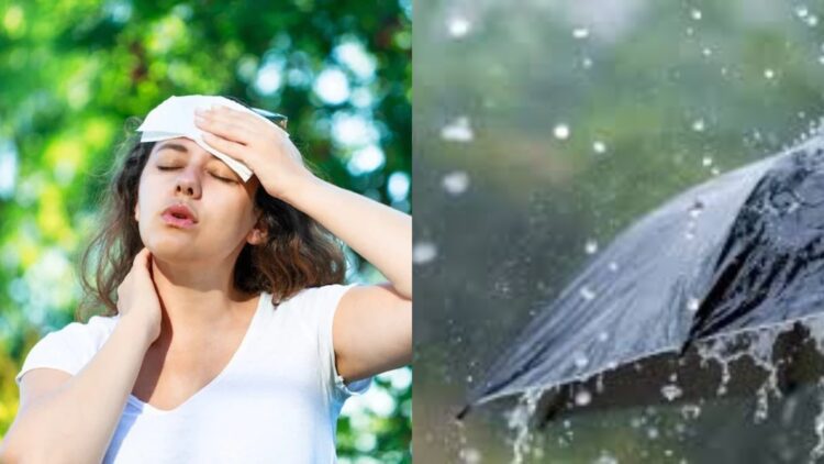 BeFunky collage (84)