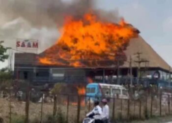 BeFunky collage (87)