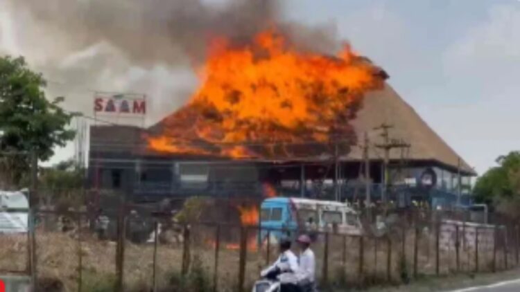 BeFunky collage (87)