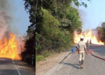 BeFunky collage (91)