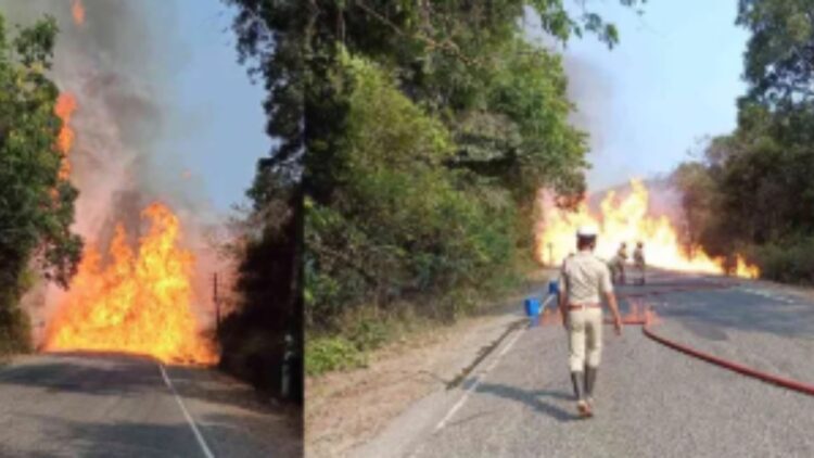 BeFunky collage (91)