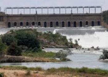 BeFunky collage (92)