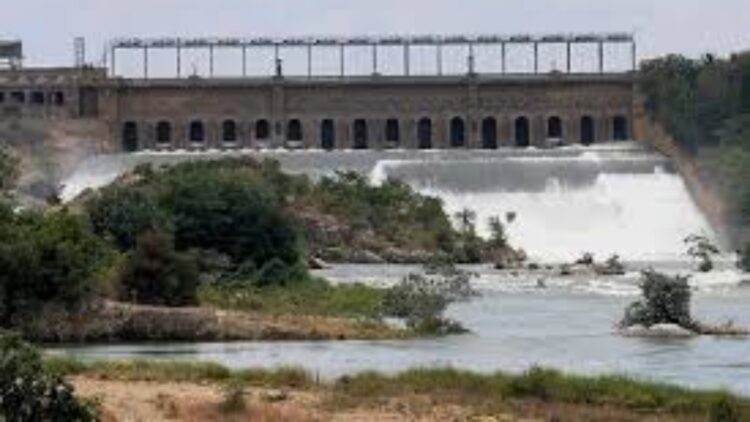 BeFunky collage (92)