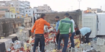 Untitled design (13)