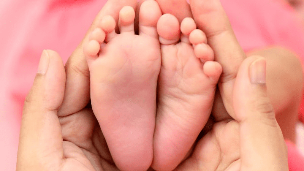 Untitled design (15)