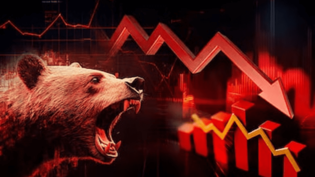 Untitled design (18)