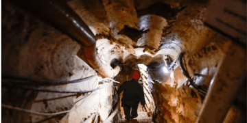 Untitled design 2026 04 01T132850.151