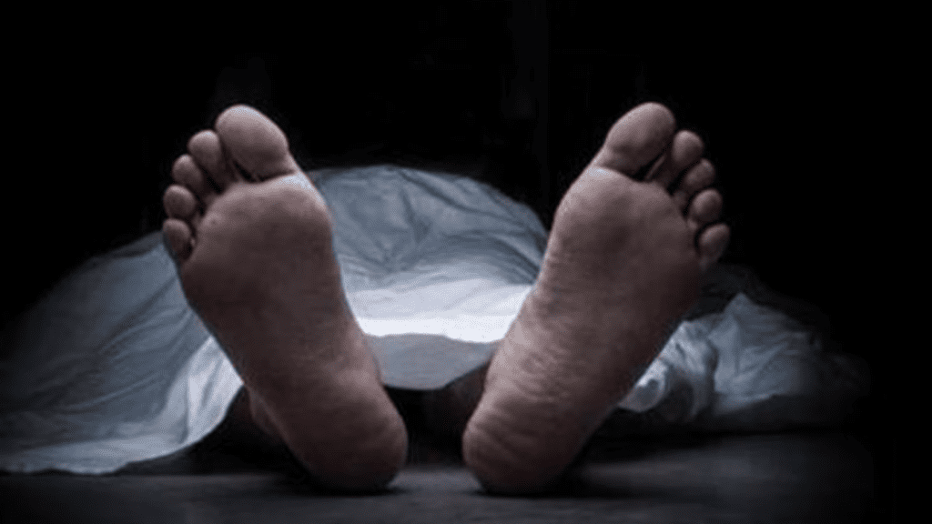 Untitled design 2026 04 04T110433.229