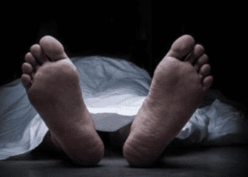 Untitled design 2026 04 04T110433.229