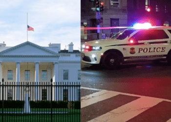 Untitled design 2026 04 06T081107.611