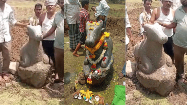 Untitled design 2026 04 11T174457.905