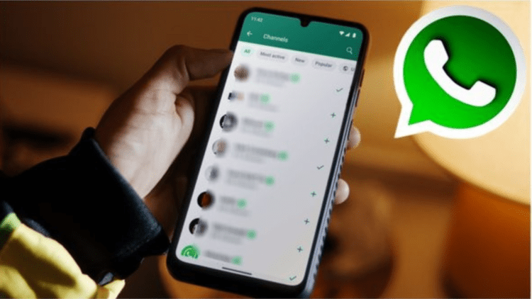 Untitled design 2026 04 20T231006.240