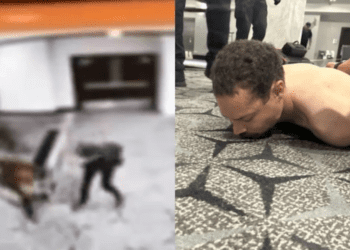 Untitled design 2026 04 26T103750.161