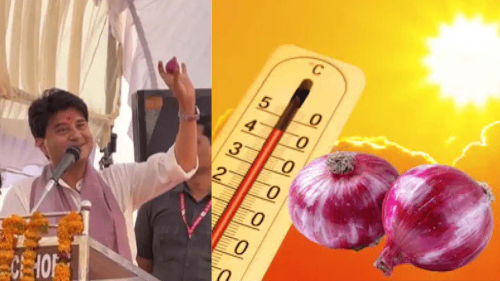 ಬಿಸಿಲಿಗೆ ಎಸಿ ಬೇಡ, ಜೇಬಿನಲ್ಲಿ ಈರುಳ್ಳಿ ಇಟ್ಕೊಬೇಕಂತೆ!: ಕೇಂದ್ರ ಸಚಿವರ ವಿಚಿತ್ರ ಹೇಳಿಕೆ ವೈರಲ್!