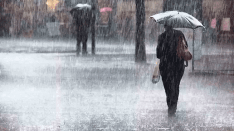 Untitled design 2026 04 29T080316.228