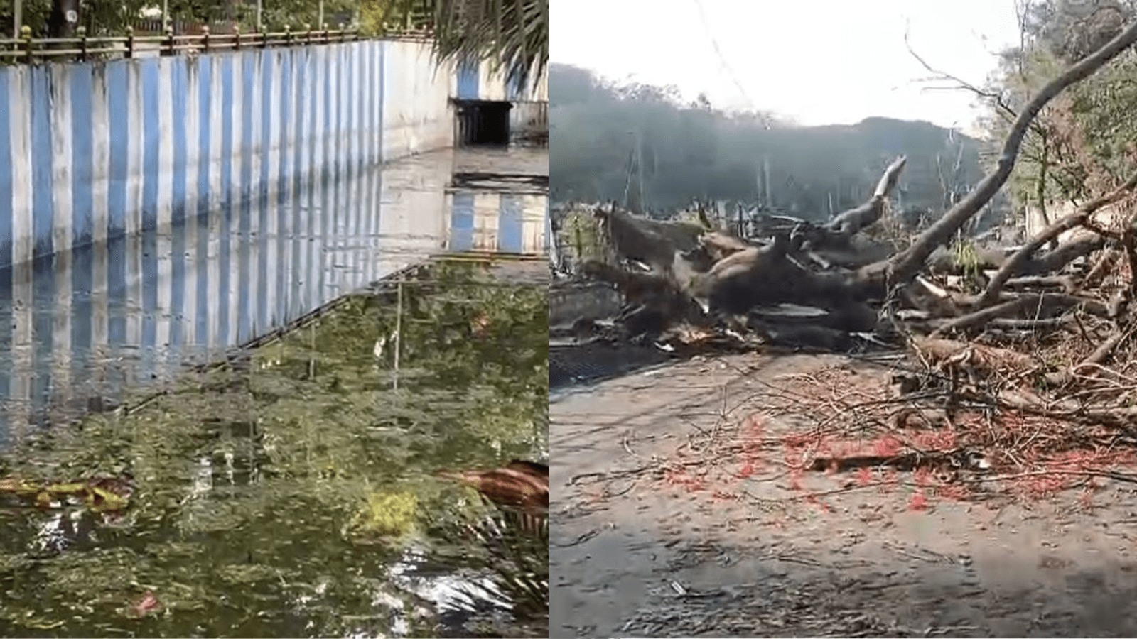 The Art of Baking: From Classic Bread to Artisan Pastries