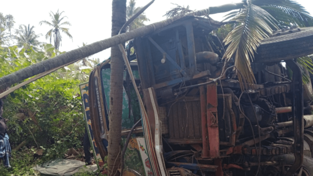 Untitled design (31)