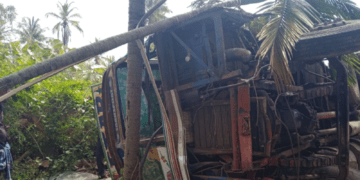 Untitled design (31)