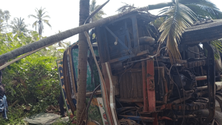 Untitled design (31)