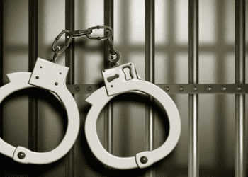 Untitled design (40)