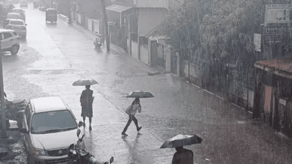 Untitled design (41)