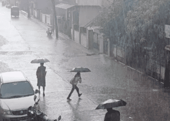 Untitled design (41)