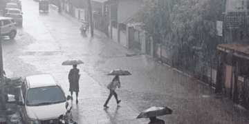 Untitled design (41)