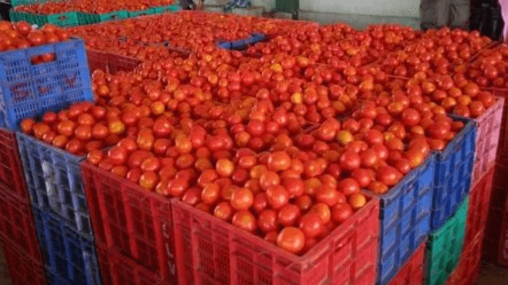 Untitled design (51)