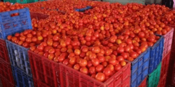 Untitled design (51)