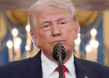 Untitled design (69)