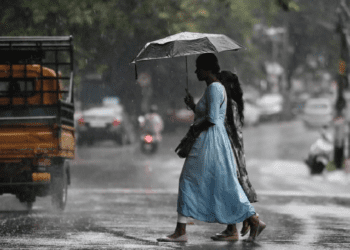 Untitled design (71)