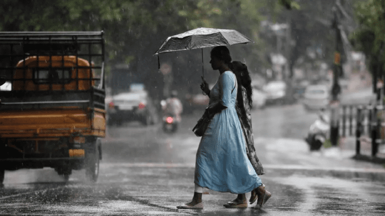 Untitled design (71)