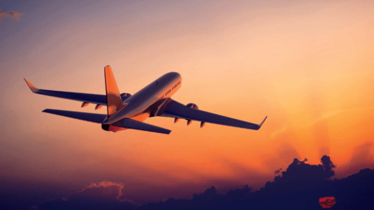 Untitled design (75)