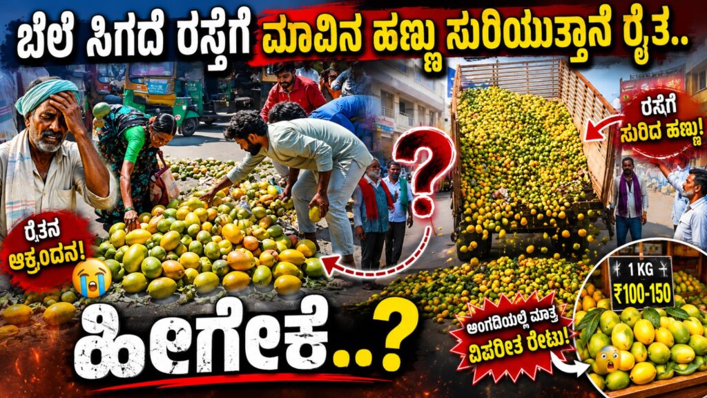 WhatsApp Image 2026 06 22 at 4.41.48 PM