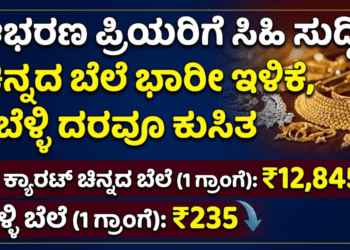 ಸಿ (3)