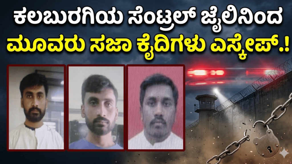ಇರ್ತೀರಾ (11)