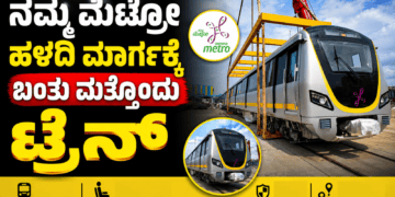 Untitled design (85)