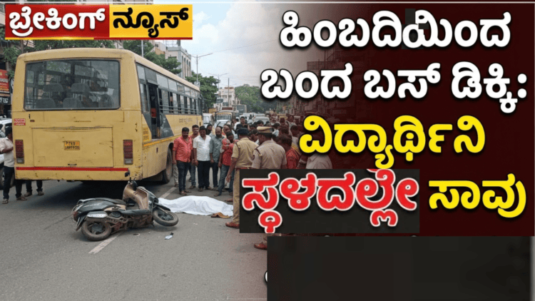 ಕೃಷ್ಣ (24)