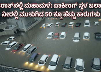 ಟಿ (13)