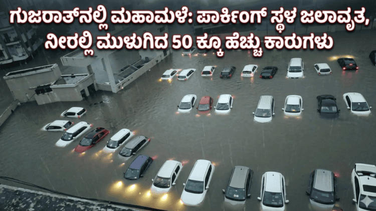ಟಿ (13)