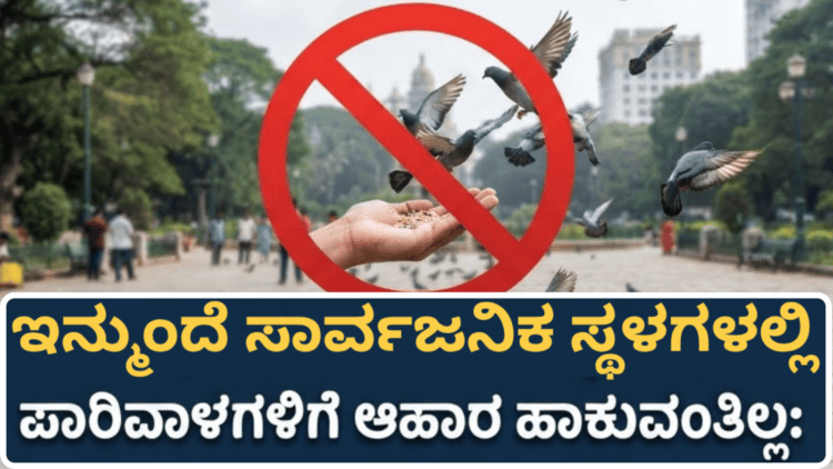 ಟಿ (4)
